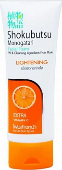 Lion  Shokubutsu Пенка для умывания выравнивающая 100 мл