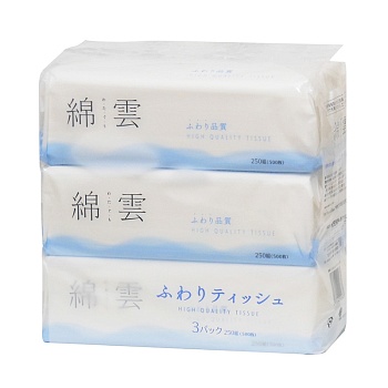 Ideshigyo Премиальные двухслойные плотные бумажные салфетки "Watagumo" (увеличенные / произведены на воде с горы Фудзи), 250 шт. х 3 пачки