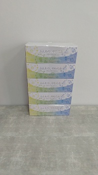 Ideshigyo Премиальные двухслойные бумажные салфетки "Due Premium" (увеличенные / произведены на воде с горы Фудзи), 160 шт. х 5 пачек